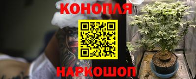 индика Пыть-Ях