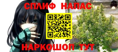 Альфа ПВП Пугачёв
